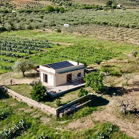 Il Sughero E La Rosa *