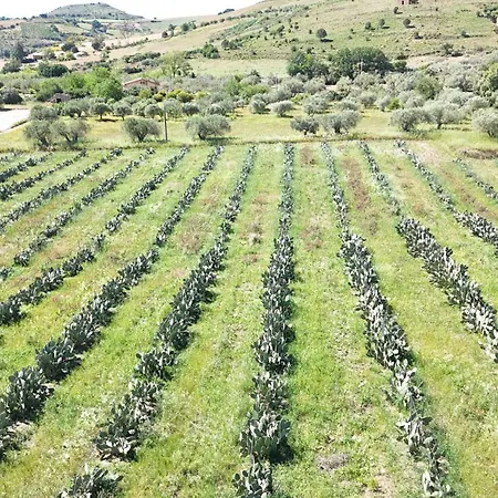 Il Sughero E La Rosa * بياتْسا أرمارِنا